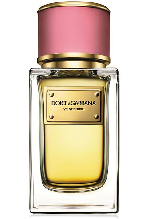 dolce gabbana velvet rose perfume|dolce and gabbana perfume reviews.